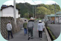 野外活動（散歩）写真